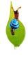 Preview: Orchideenstab, Blatt mit Schnecke -blau- (normale Ausführung)